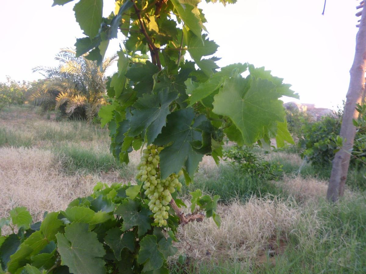 Aliyah Eco-Lodge Bawati Εξωτερικό φωτογραφία